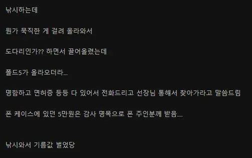 낚시로 건진 요즘 핫한 자연산..