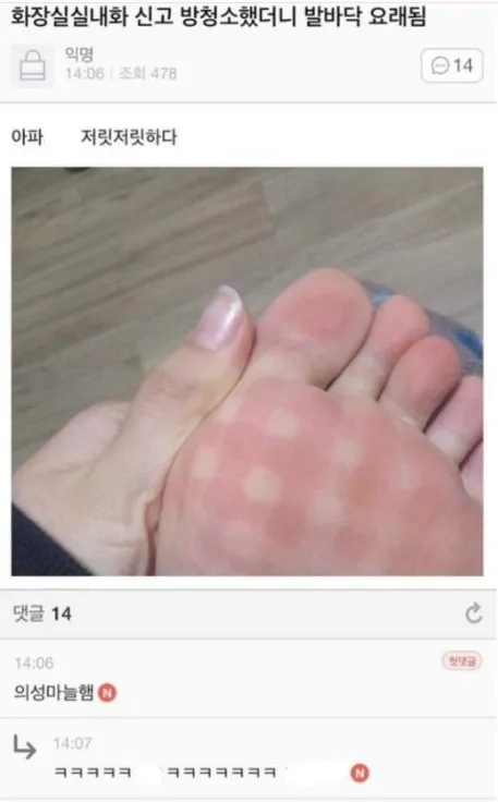 화장실 실내화 신고 방청소 했더니