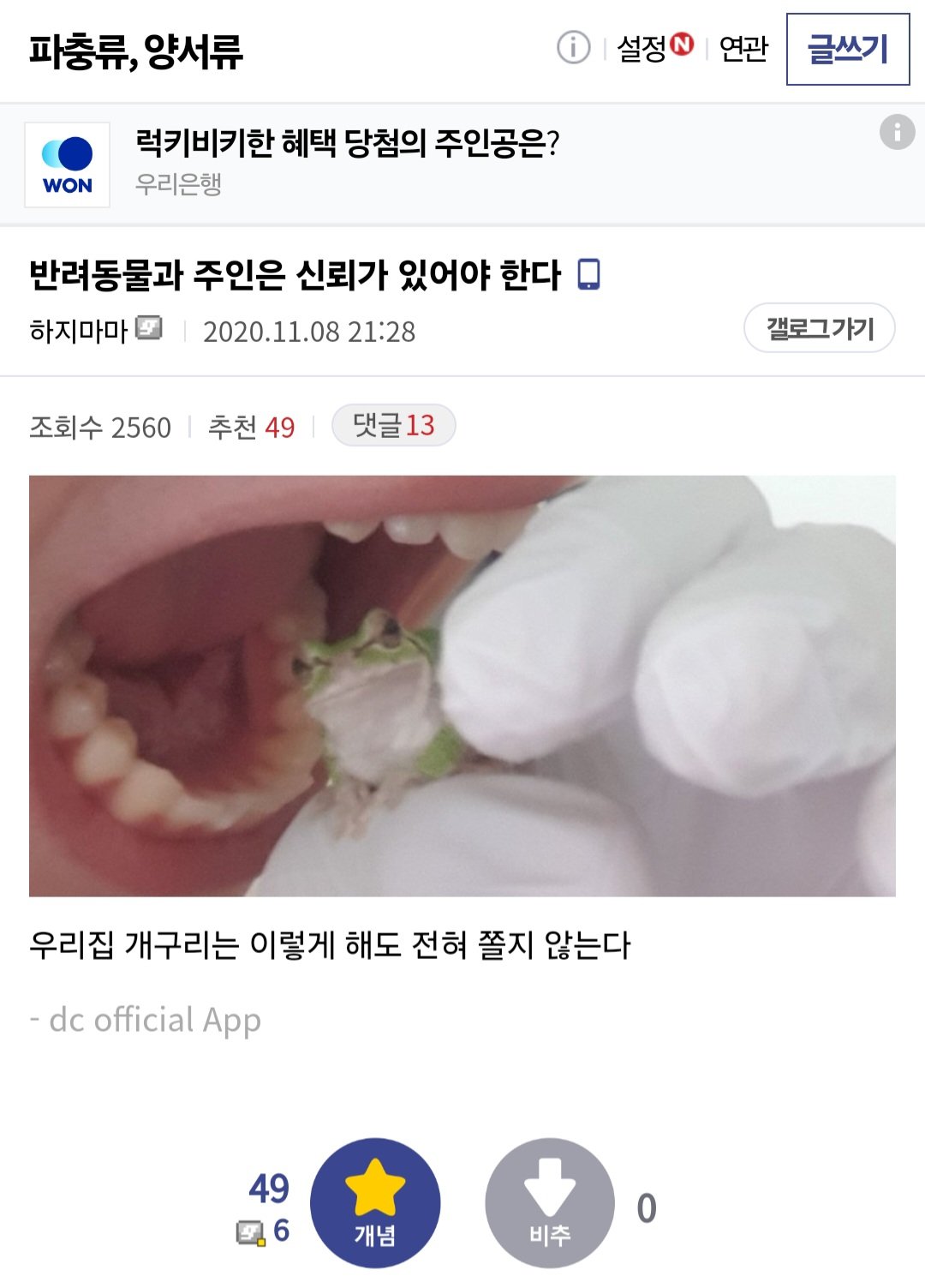 반려동물과 주인은 신뢰가 있어야 한다