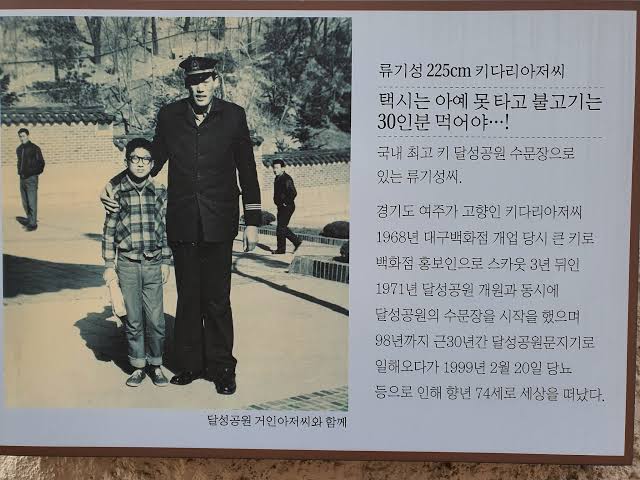 옛날 대구에서 유명했다는 225cm 키다리 아저씨