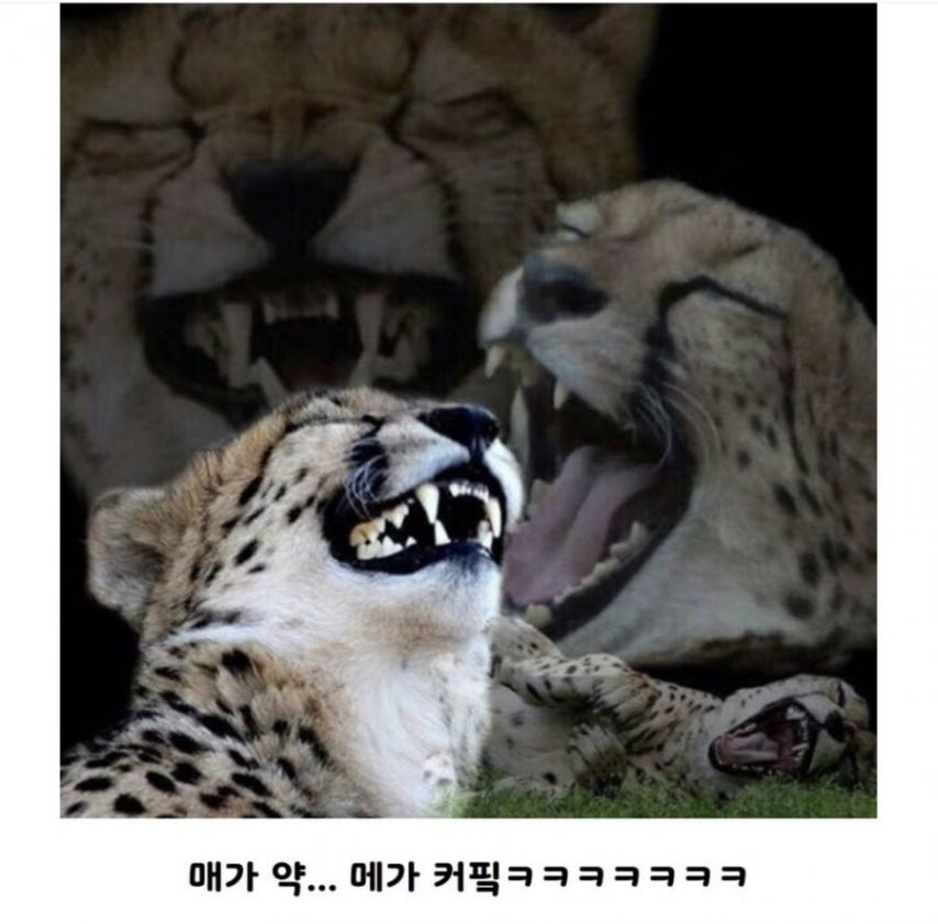 와 요즘 세상 많이 변했네...