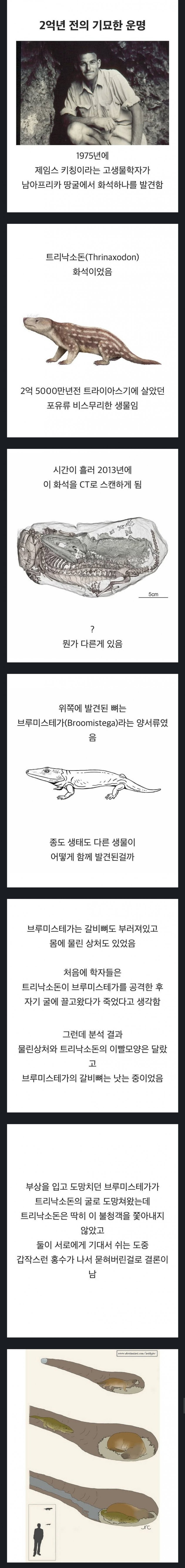 [실제사례] 2억년의 시간을 함께한 친구...