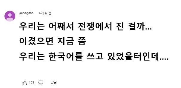 일본이 전쟁에서 진 게 억울한 일본인