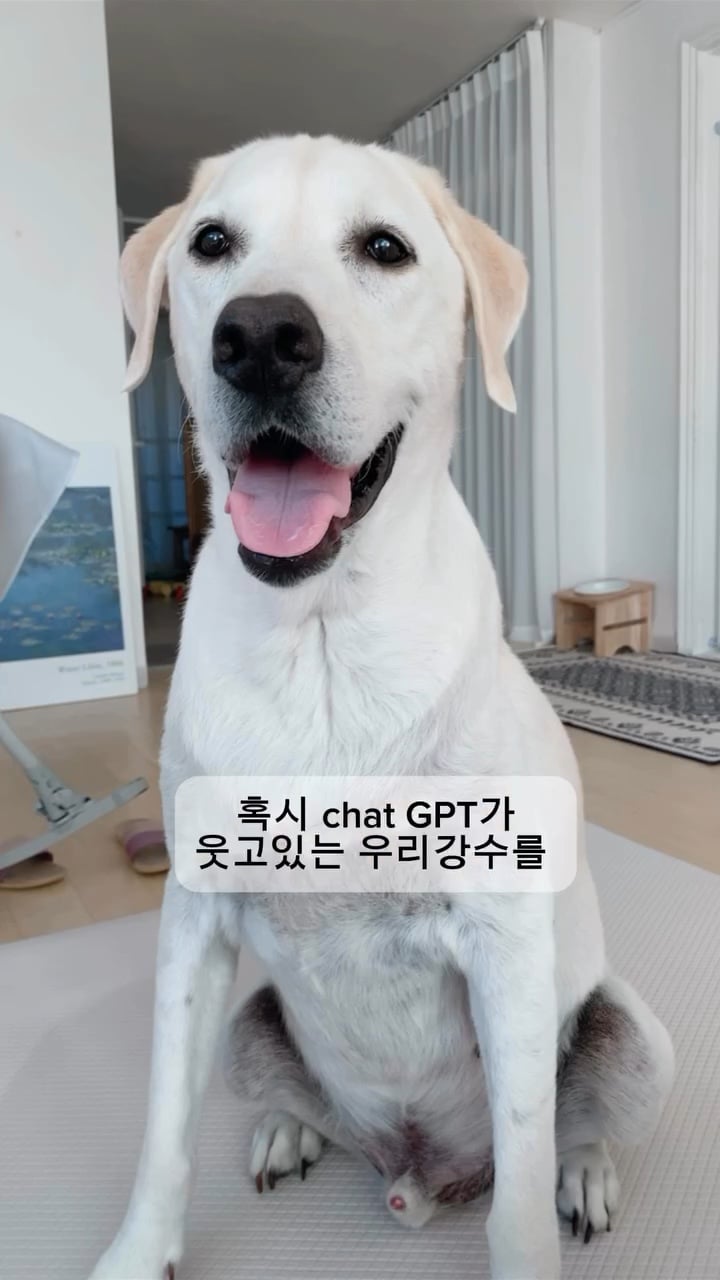 부탁도 안했는데 GPT가 그려줌