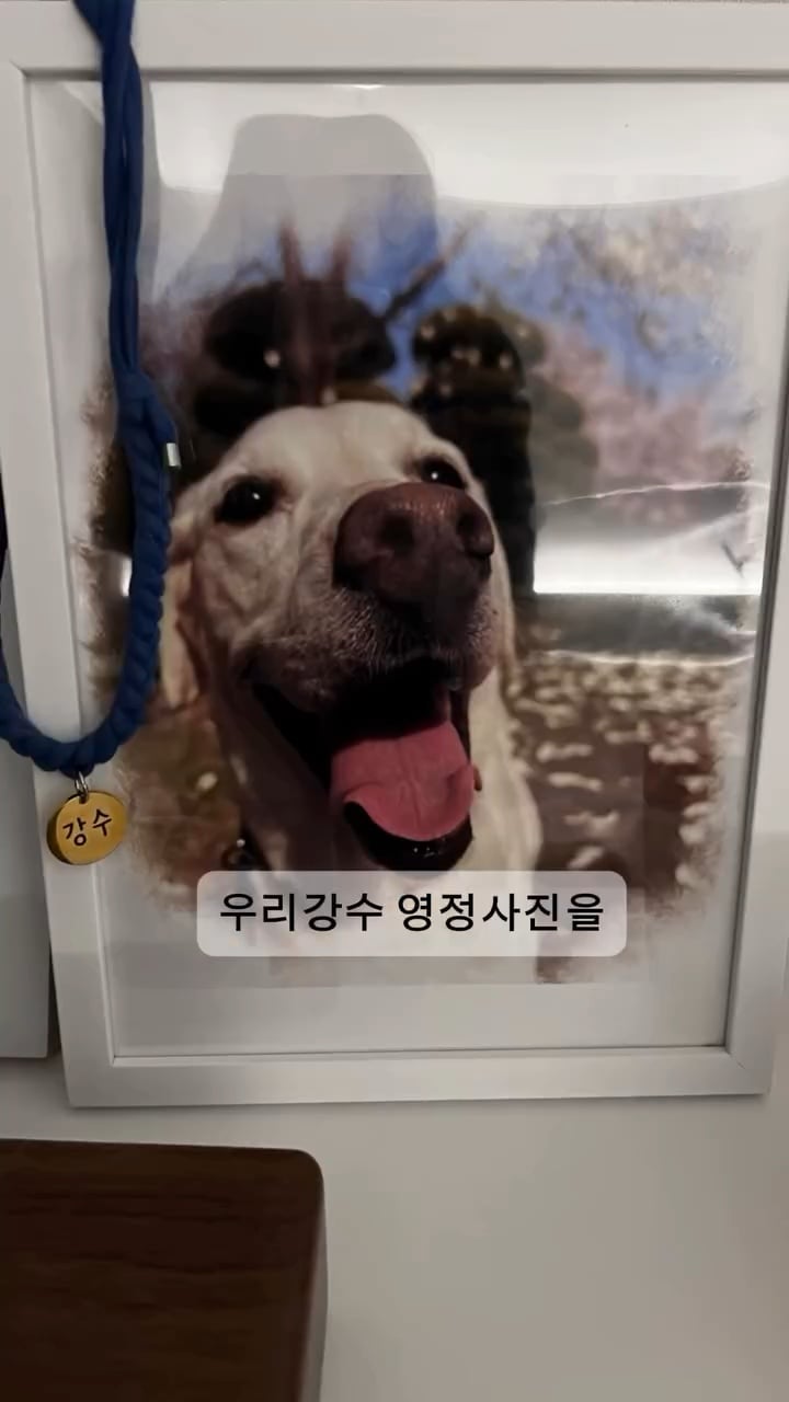 부탁도 안했는데 GPT가 그려줌