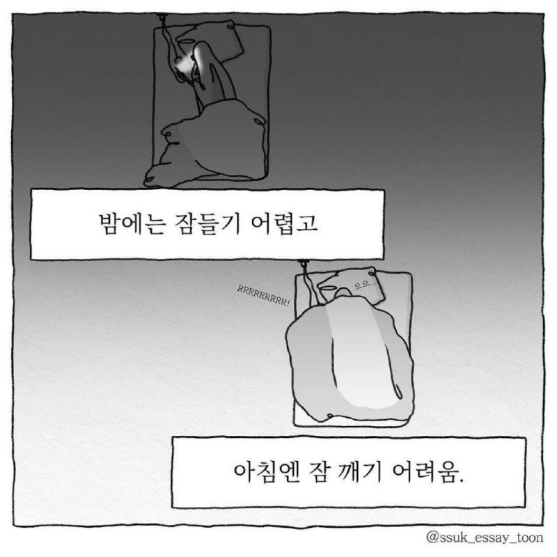 인생의 모순