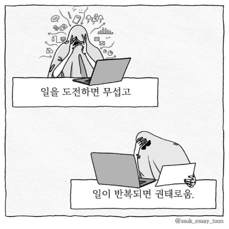 인생의 모순