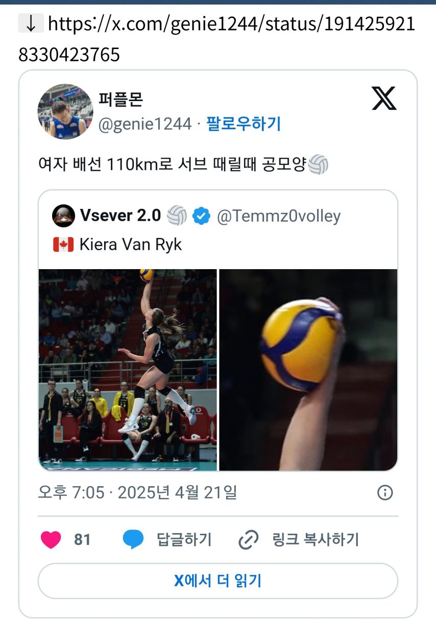 여자 배구선수 110km로 서브 때릴 때 공 모양 [정보글]