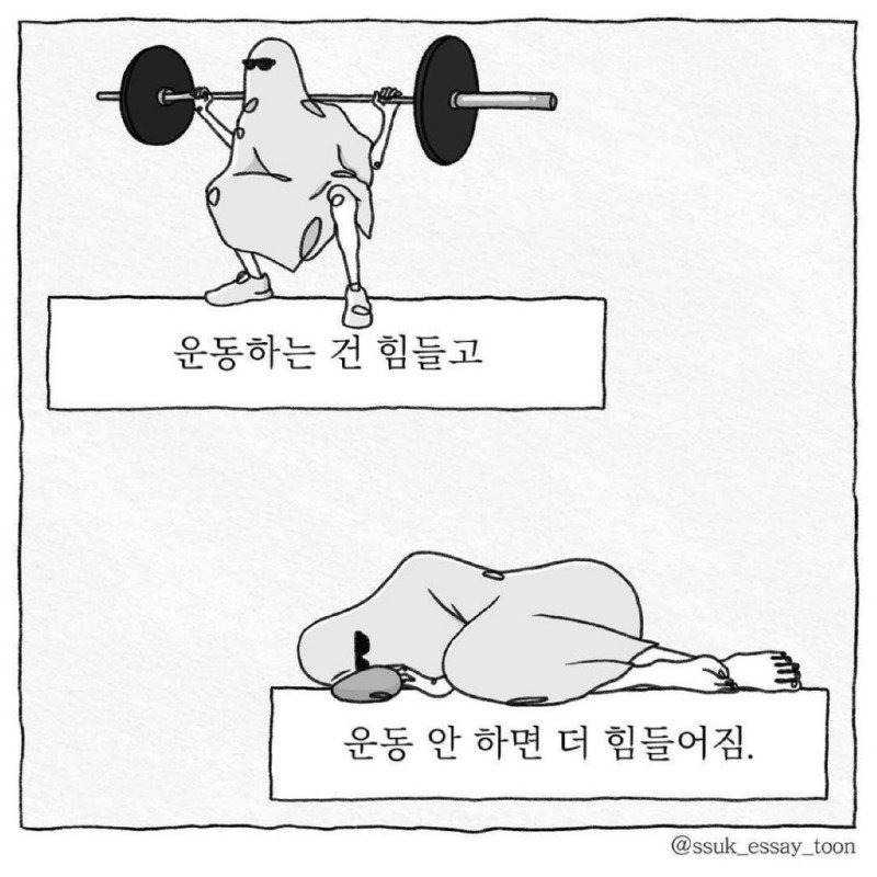 인생의 모순