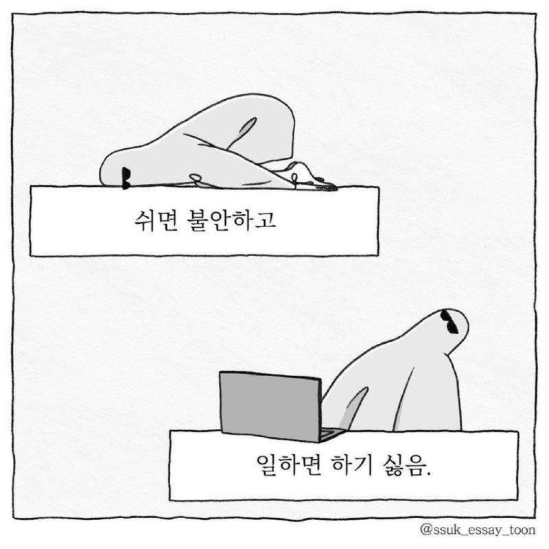 인생의 모순