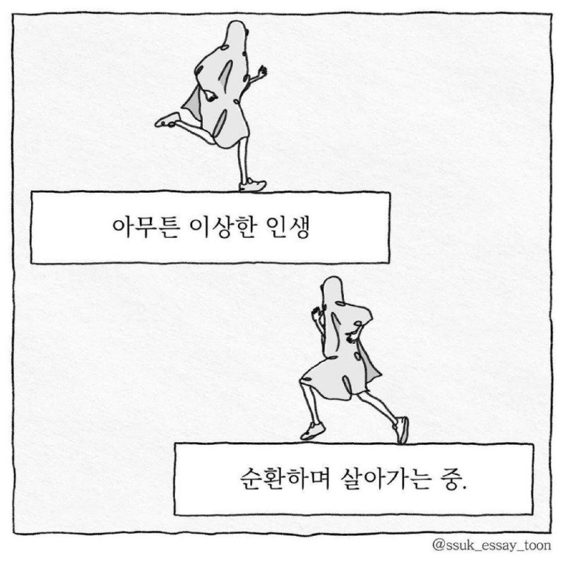 인생의 모순