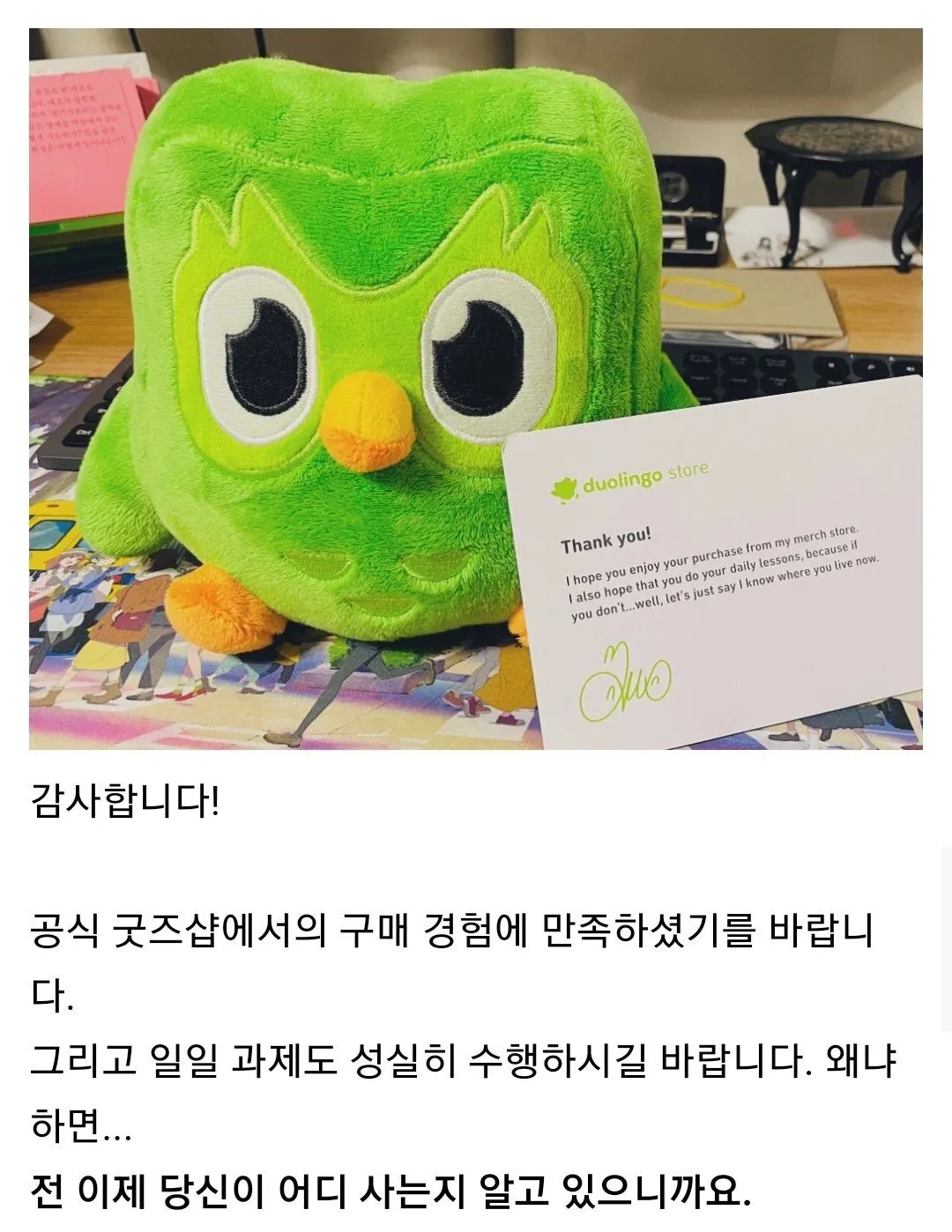 듀오링고 인형 사면 같이오는 편지