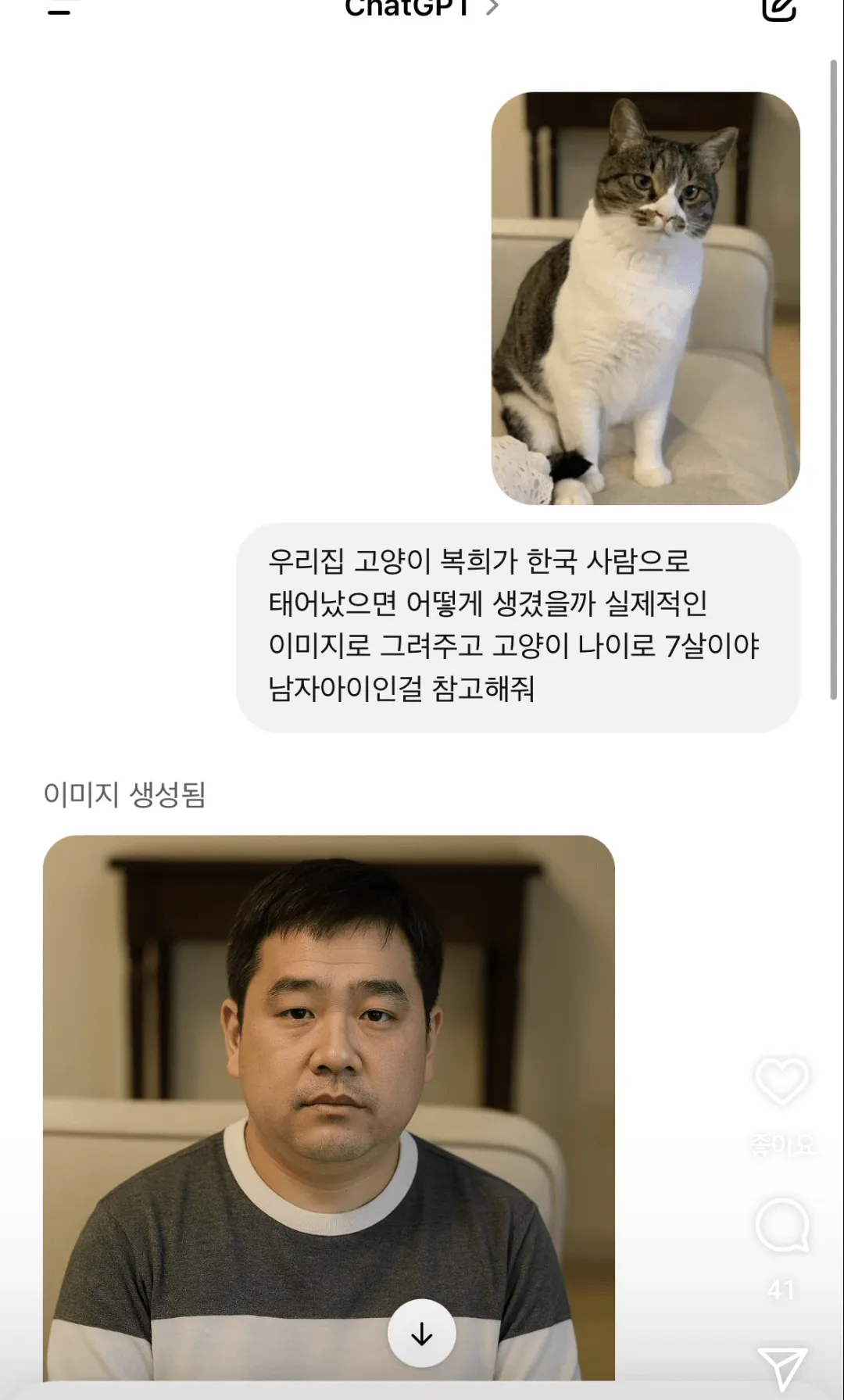 펌) 우리집 고양이가 한국사람이라면.jpg