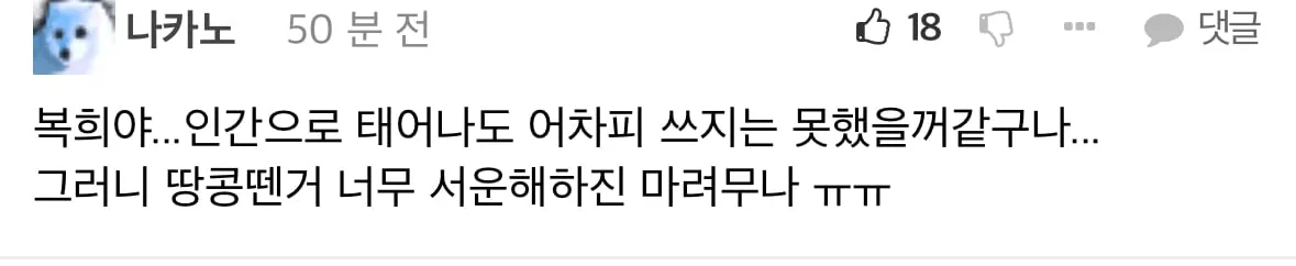 펌) 우리집 고양이가 한국사람이라면.jpg