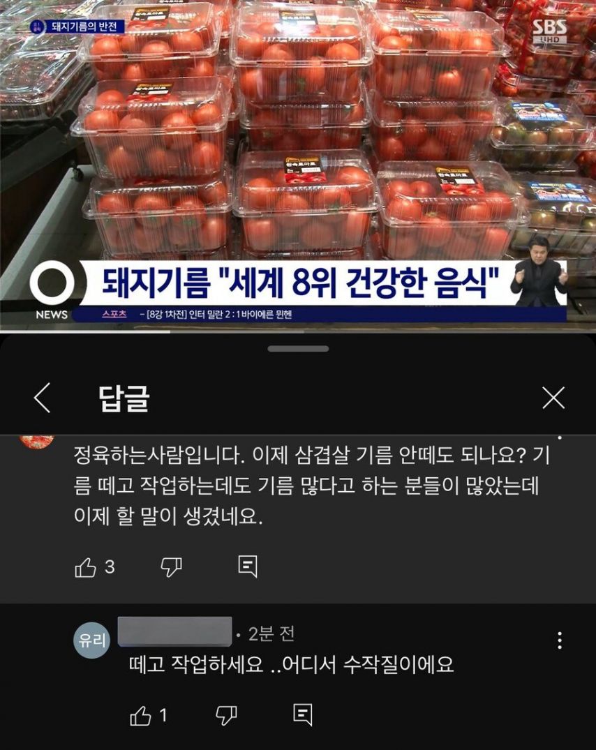 드디어 누명 벗은 돼지 비계 근황