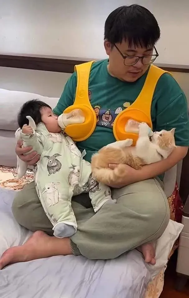부젖자젖