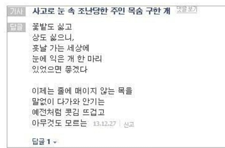 인터넷 기사 댓글 시인 모음.jpg