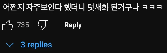 청둥오리🦆가 한국에 눌러살게 된 이유