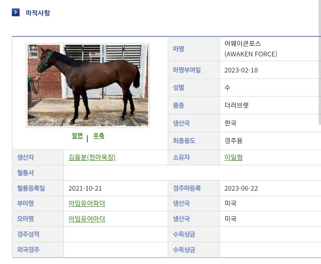 마명(말 이름)보고 와 멋진 이름이다..했는데