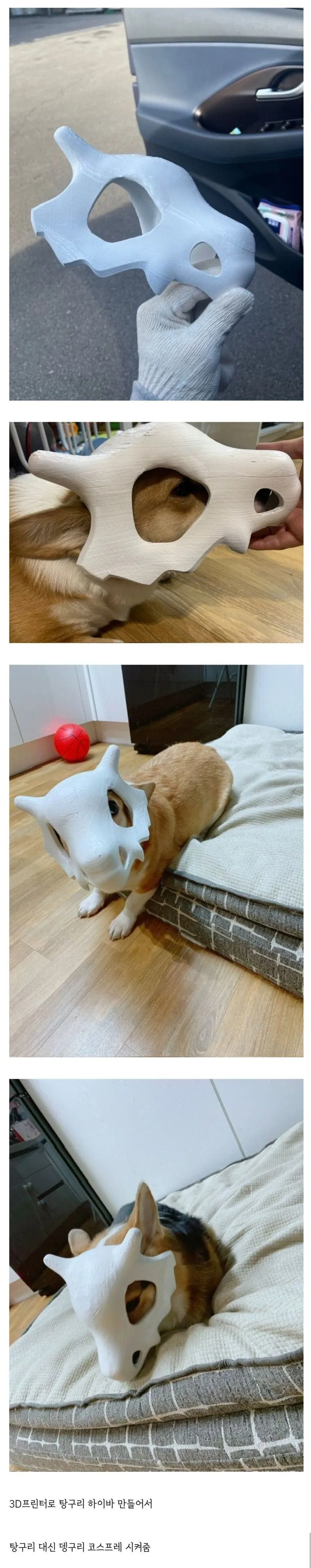 진짜 귀여운 포켓몬 코스프레.jpg