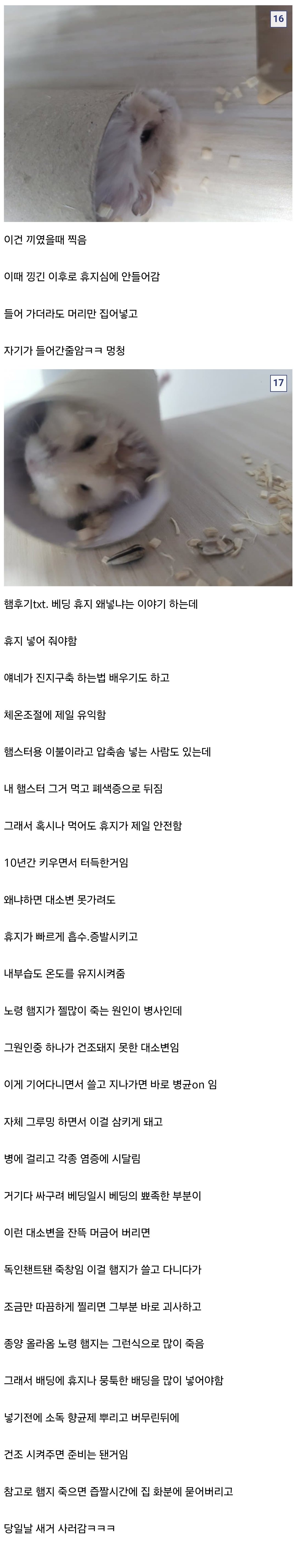(스압) 10년넘게 햄스터 키우는(?) 디씨인....jpg