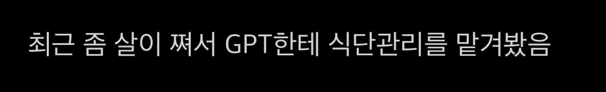 GPT에게 딱 한달 식단관리를 시킨 사람의 변화