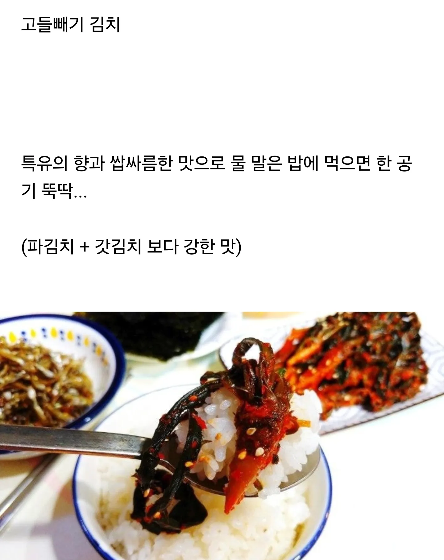 좋아하는 사람은 김치 중 최고로 친다는 김치.JPG