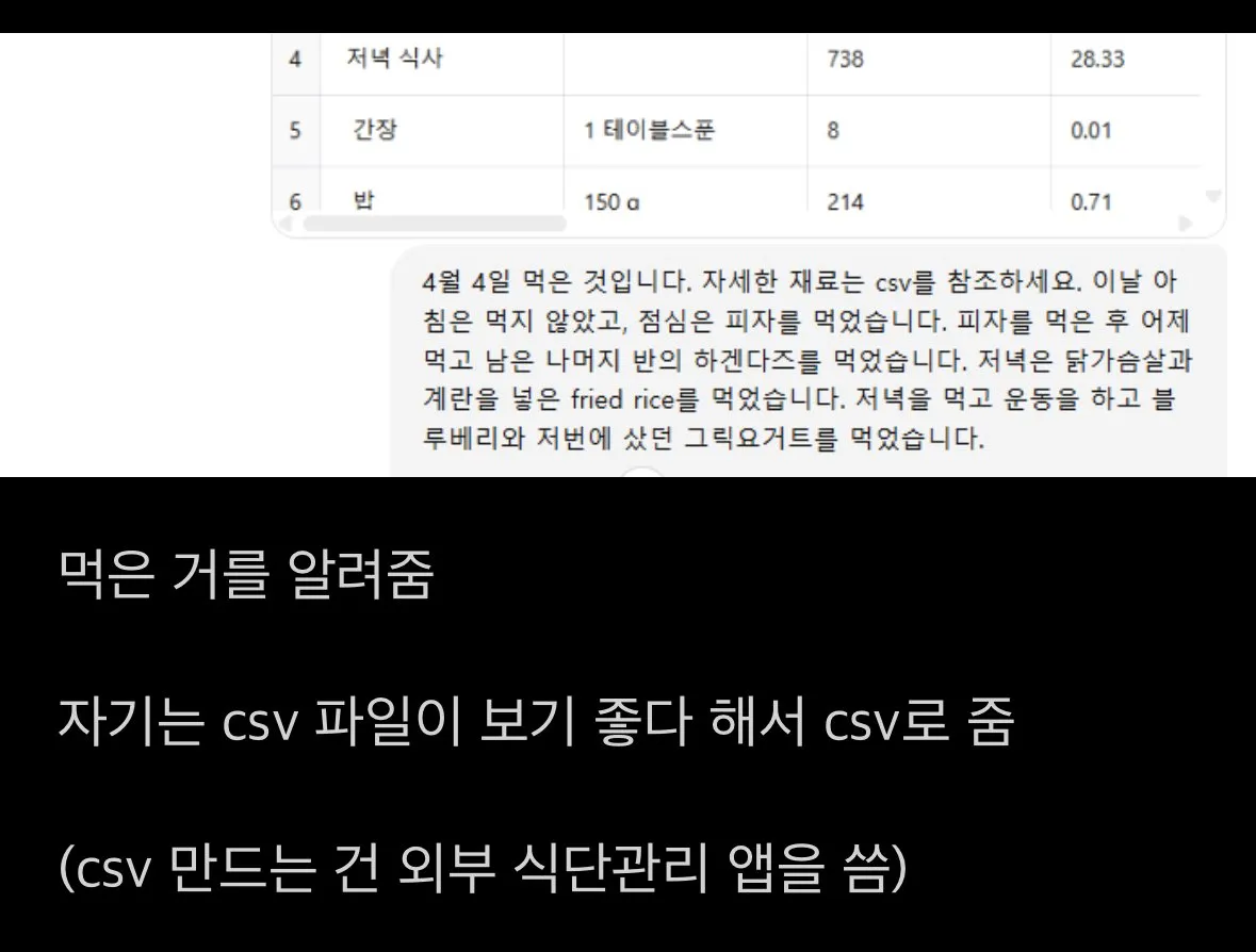 GPT에게 딱 한달 식단관리를 시킨 사람의 변화
