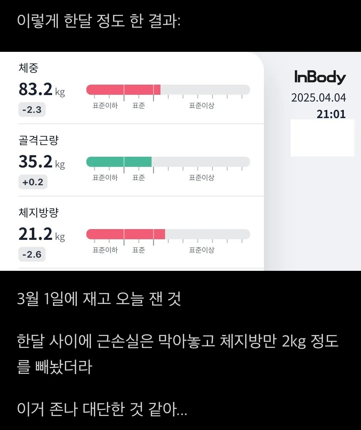 GPT에게 딱 한달 식단관리를 시킨 사람의 변화