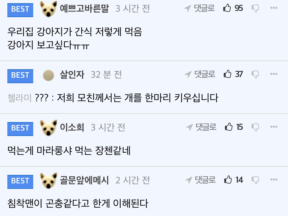 인삼튀김에 막걸리 먹는 기안84