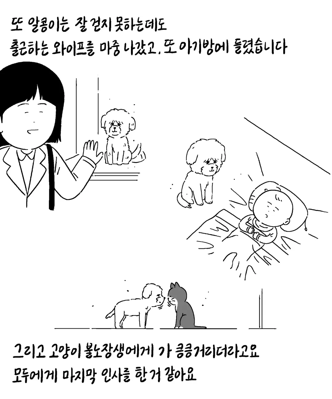 알콩이는 저와 8년을 함께 산 강아지입니다
