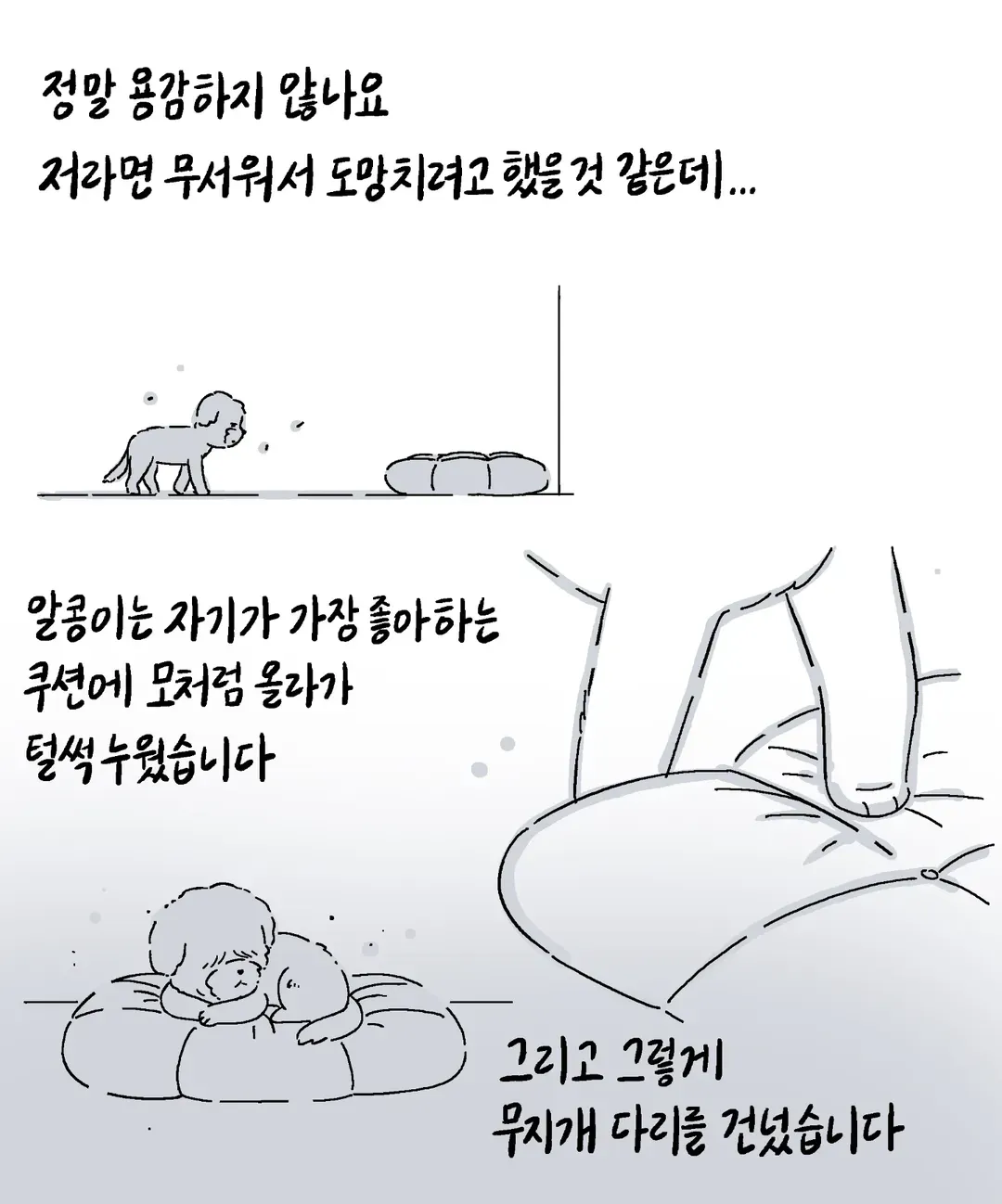 알콩이는 저와 8년을 함께 산 강아지입니다