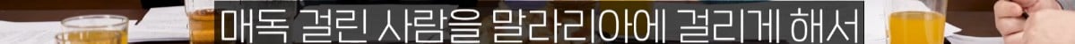 매독 걸린 사람에게 말라리아를 감염 시켜 노벨방 받은 이야기