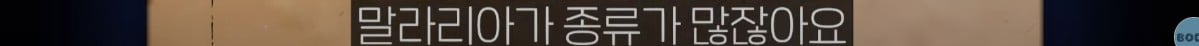 매독 걸린 사람에게 말라리아를 감염 시켜 노벨방 받은 이야기