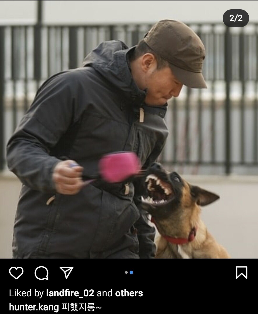 강형욱 손을 뼈가 보일정도로 문 견종