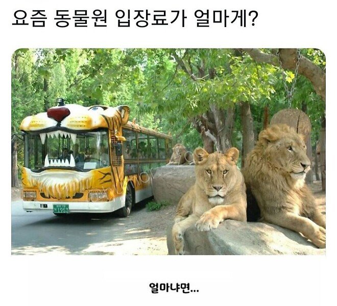 동물원 입장료가 얼마게?