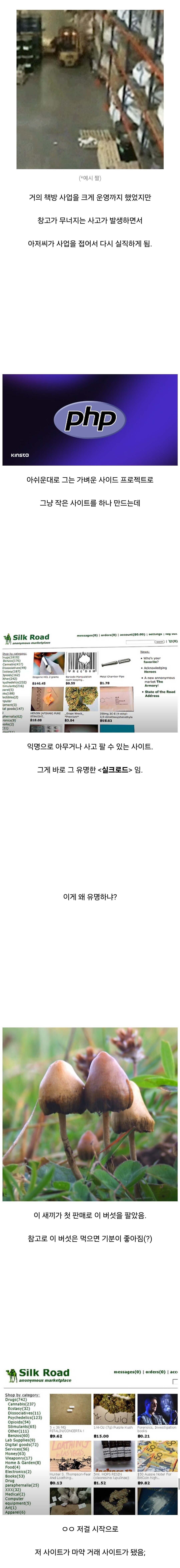어느 해외 모범생 근황