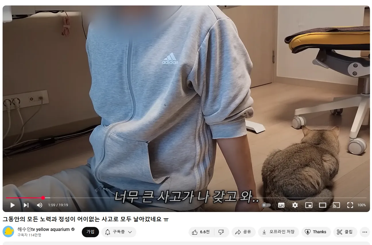 어느 유튜버가 영상을 다 날려먹은 이유