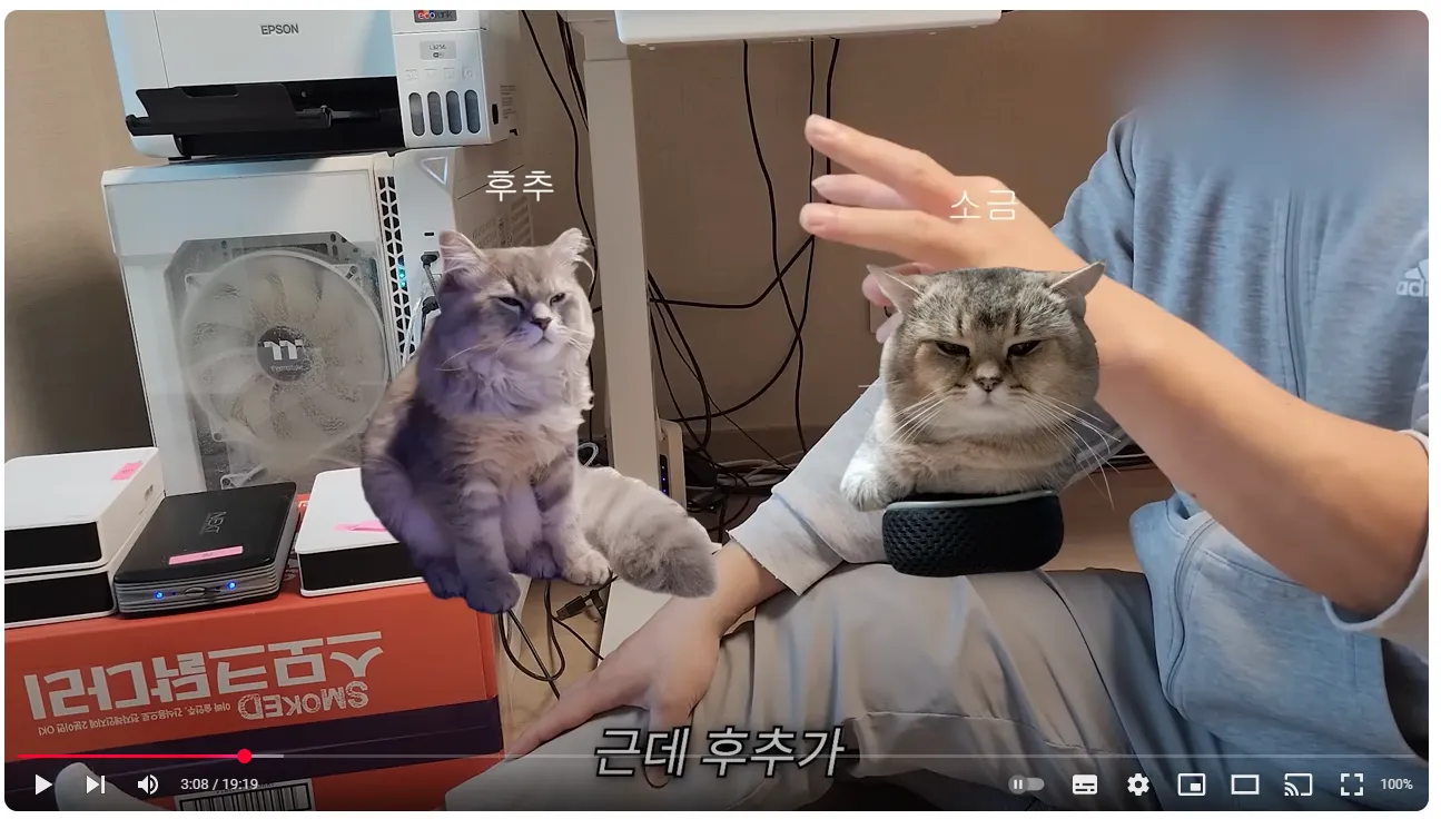 어느 유튜버가 영상을 다 날려먹은 이유