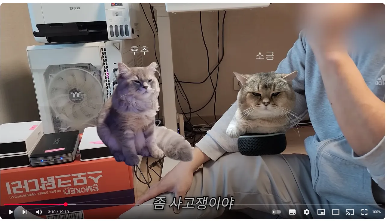 어느 유튜버가 영상을 다 날려먹은 이유