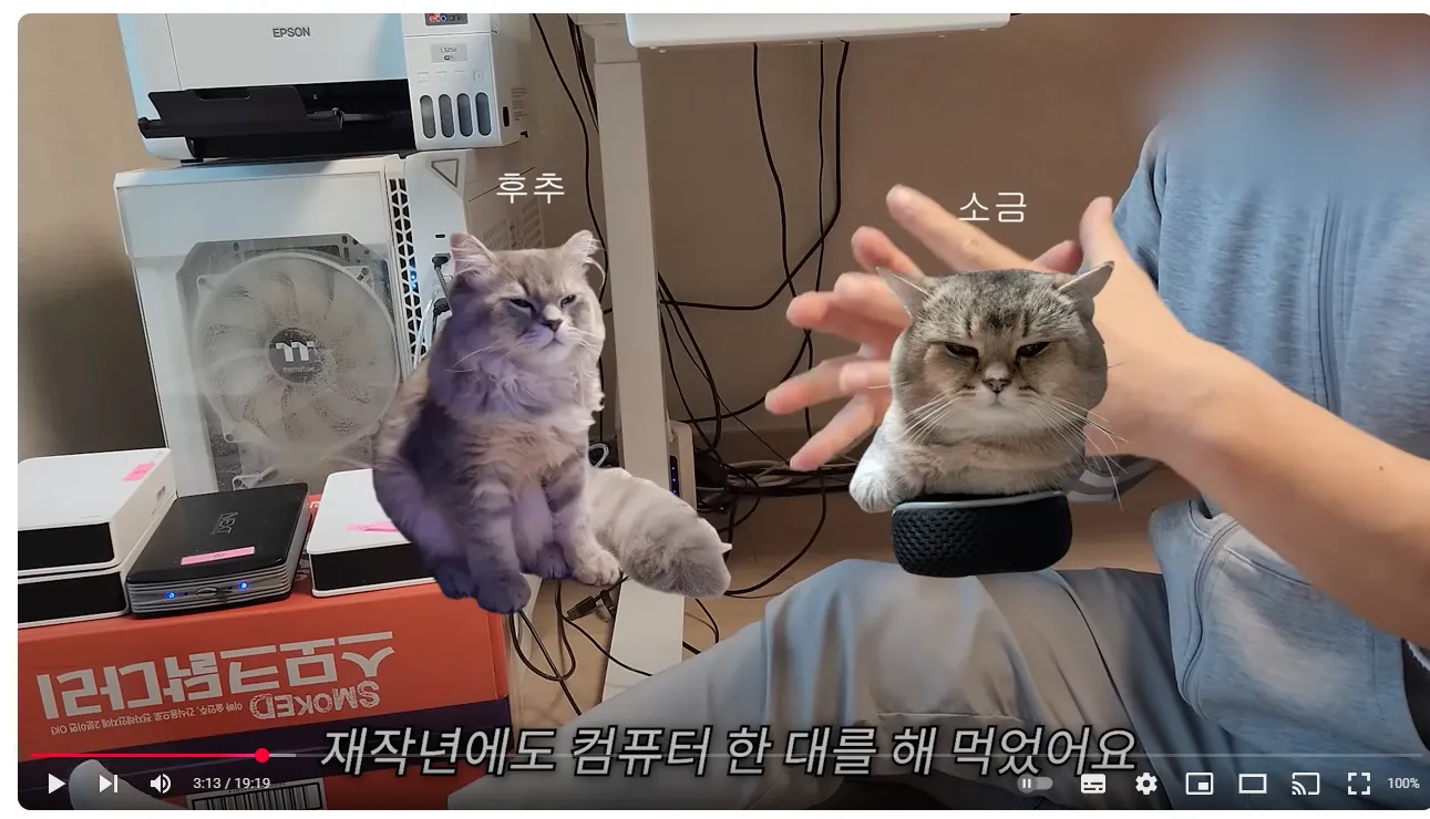 어느 유튜버가 영상을 다 날려먹은 이유