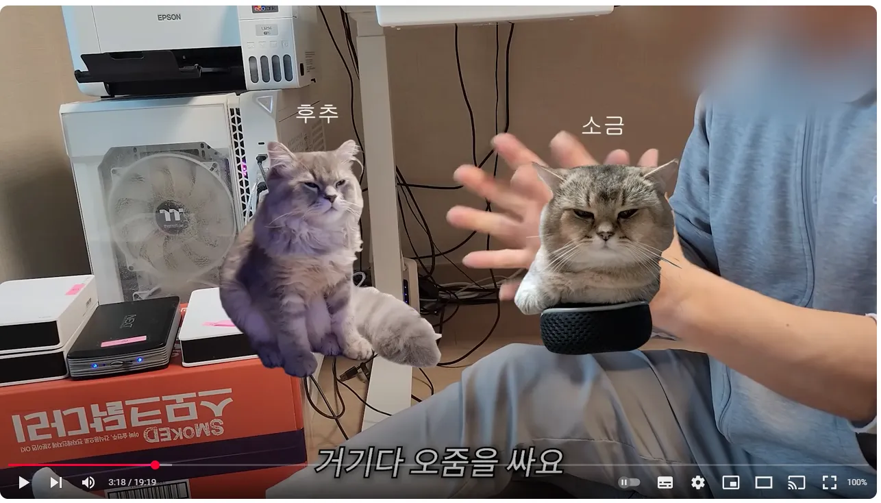 어느 유튜버가 영상을 다 날려먹은 이유