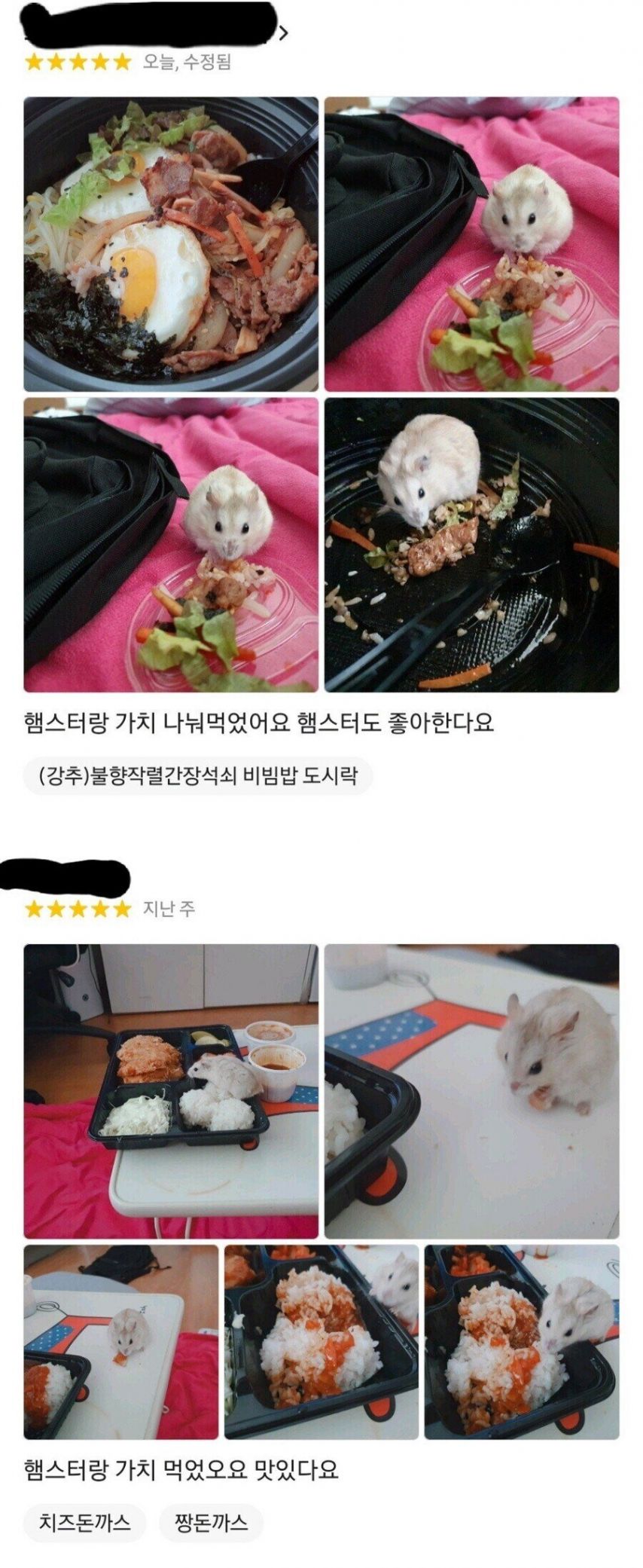햄스터의 배달 리뷰