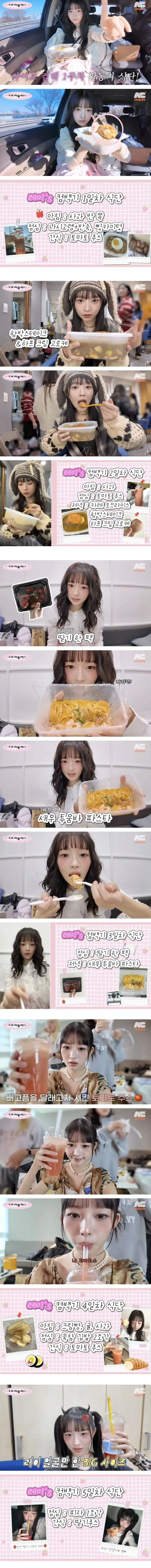 여자 아이돌이 컴백 때 먹는 식단.jpg