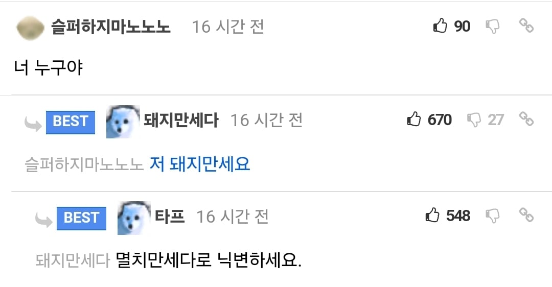저녁을 너무 부실하게 먹은 돼지
