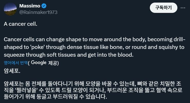 암세포의 이동 모습