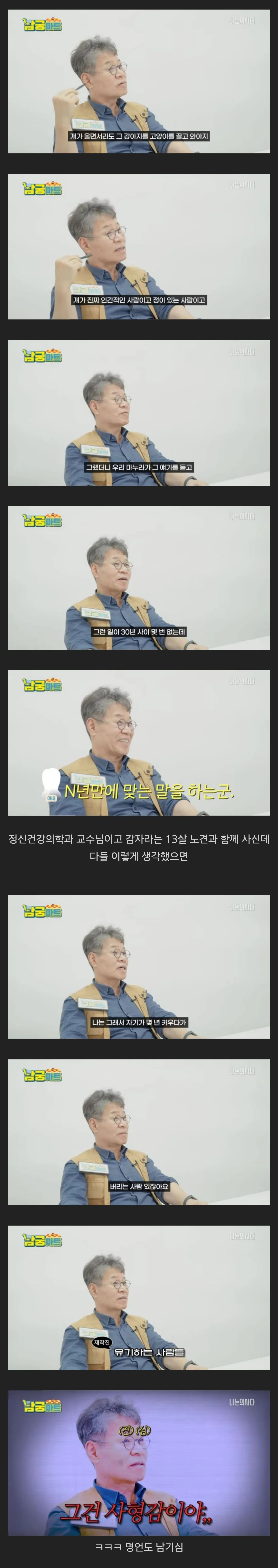 만약 며느리가 키우던 고양이를 결혼하면서 데려오지 않는다면?