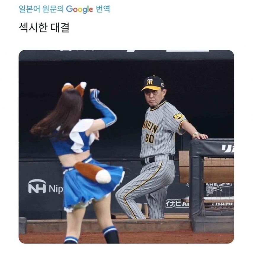 승부예측 NPB 추가 기념 섹시한 대결