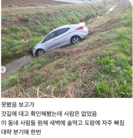 너네 아반떼가 물 마시는거 본 적 있음??