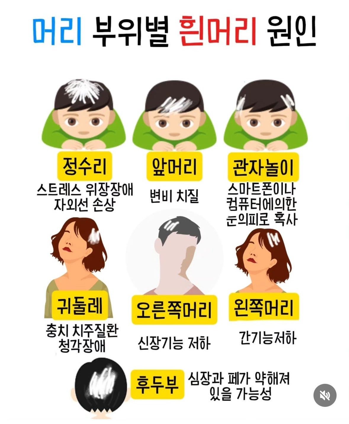 머리 부위별 흰머리 원인